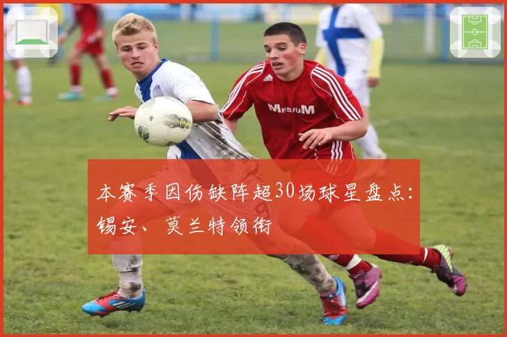 本赛季因伤缺阵超30场球星盘点:锡安、莫兰特领衔