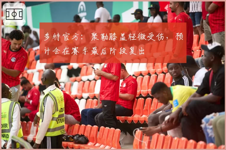 多特官方：聚勒膝盖轻微受伤，预计会在赛季最后阶段复出