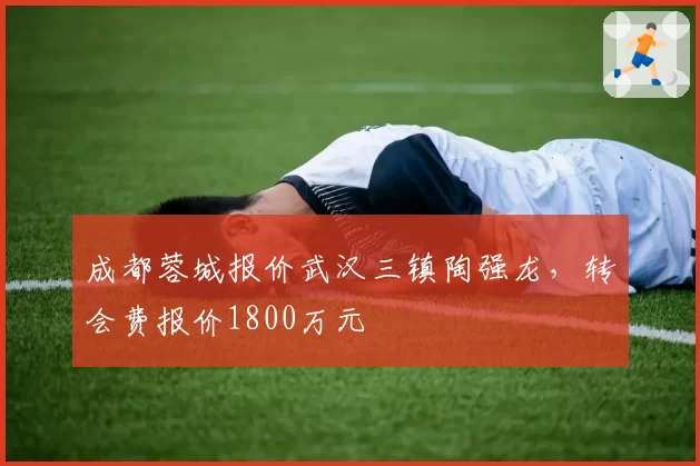 成都蓉城报价武汉三镇陶强龙,转会费报价1800万元