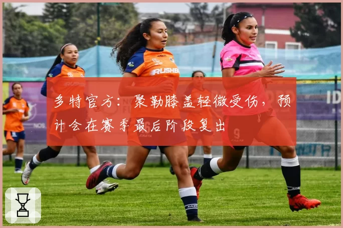 多特官方：聚勒膝盖轻微受伤，预计会在赛季最后阶段复出