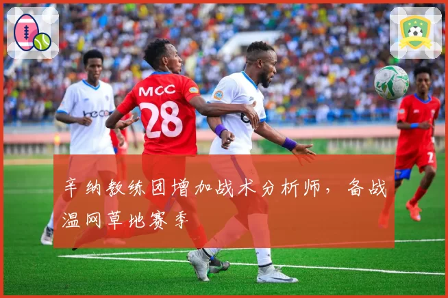 辛纳教练团增加战术分析师,备战温网草地赛季